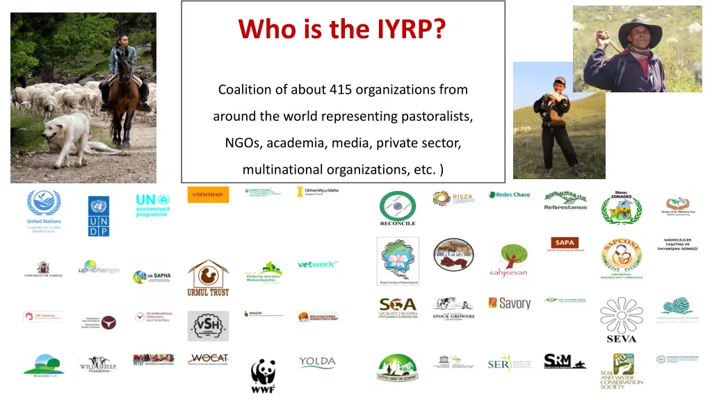 who is the iyrp