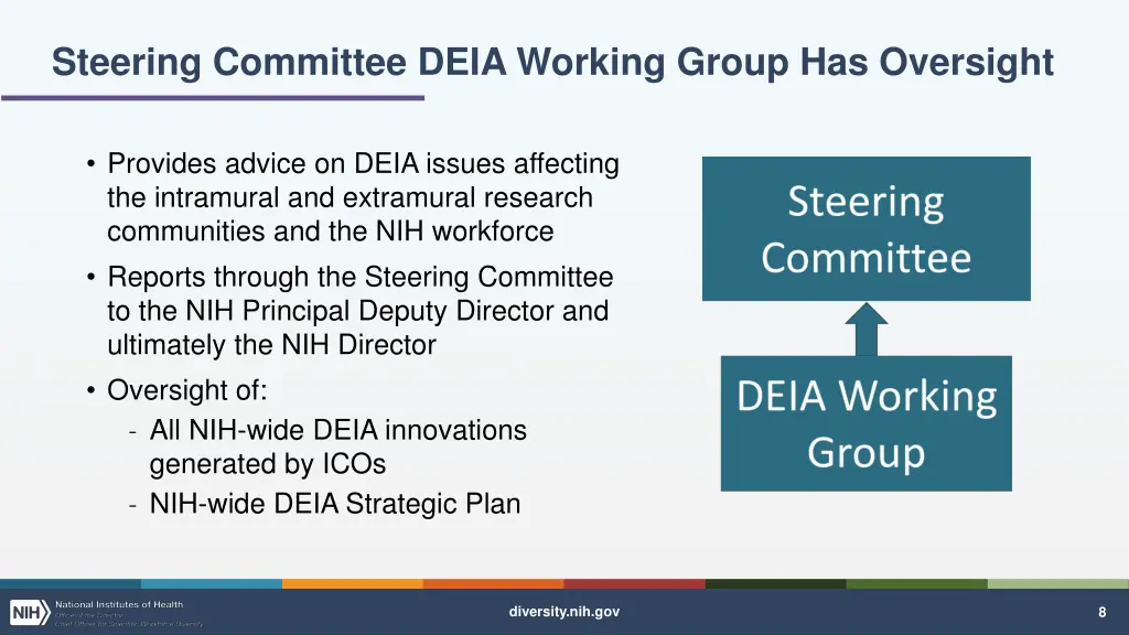 steering committee deia working group