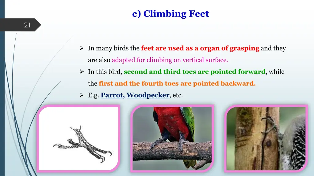 c climbing feet