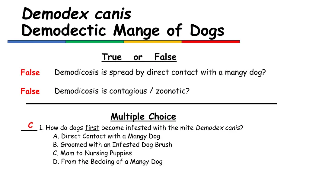 demodex canis demodectic mange of dogs 1