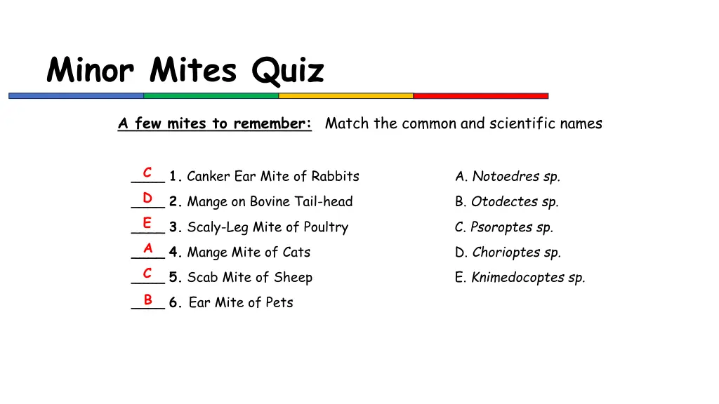 minor mites quiz