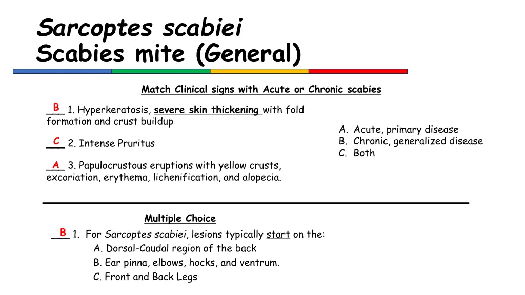 sarcoptes scabiei scabies mite general