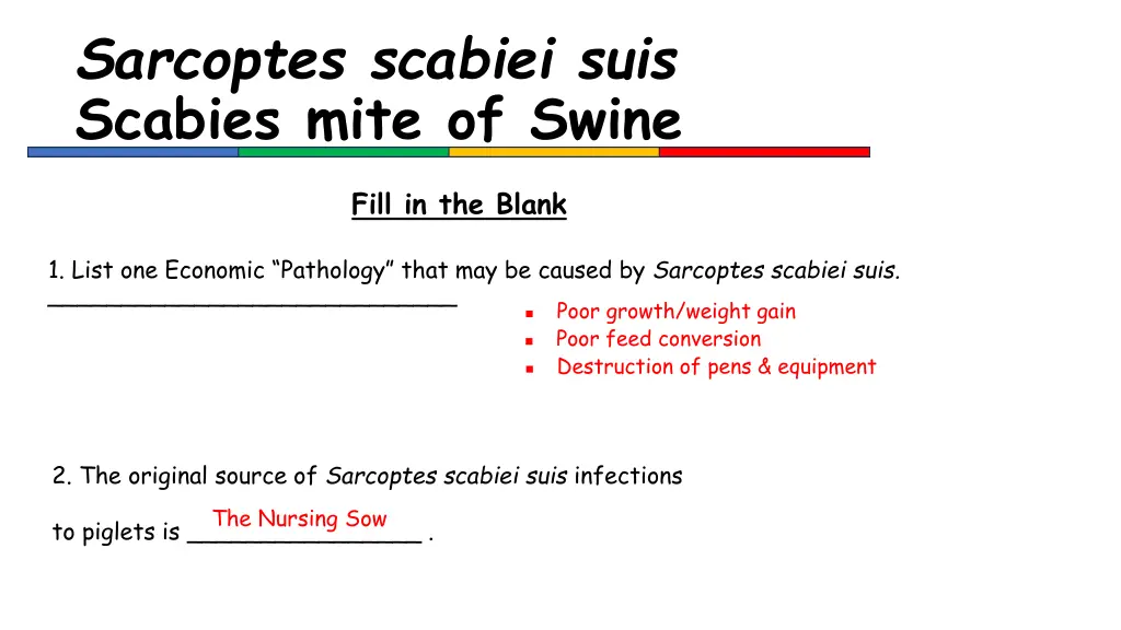 sarcoptes scabiei suis scabies mite of swine