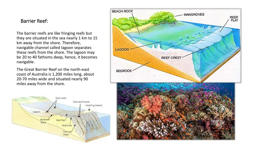 barrier reef barrier reef