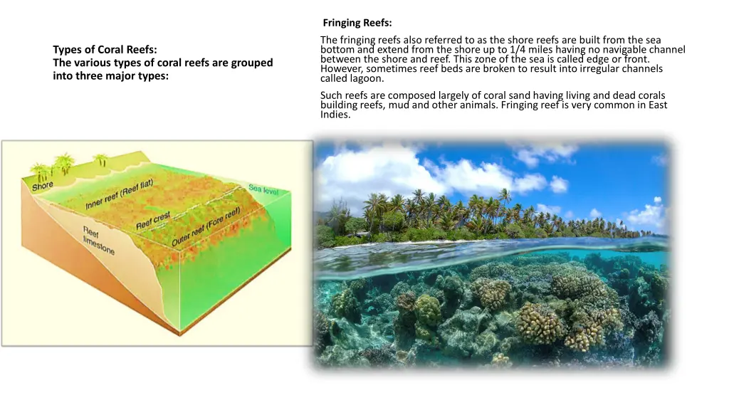 fringing reefs