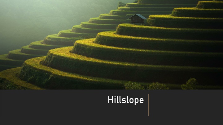 hillslope