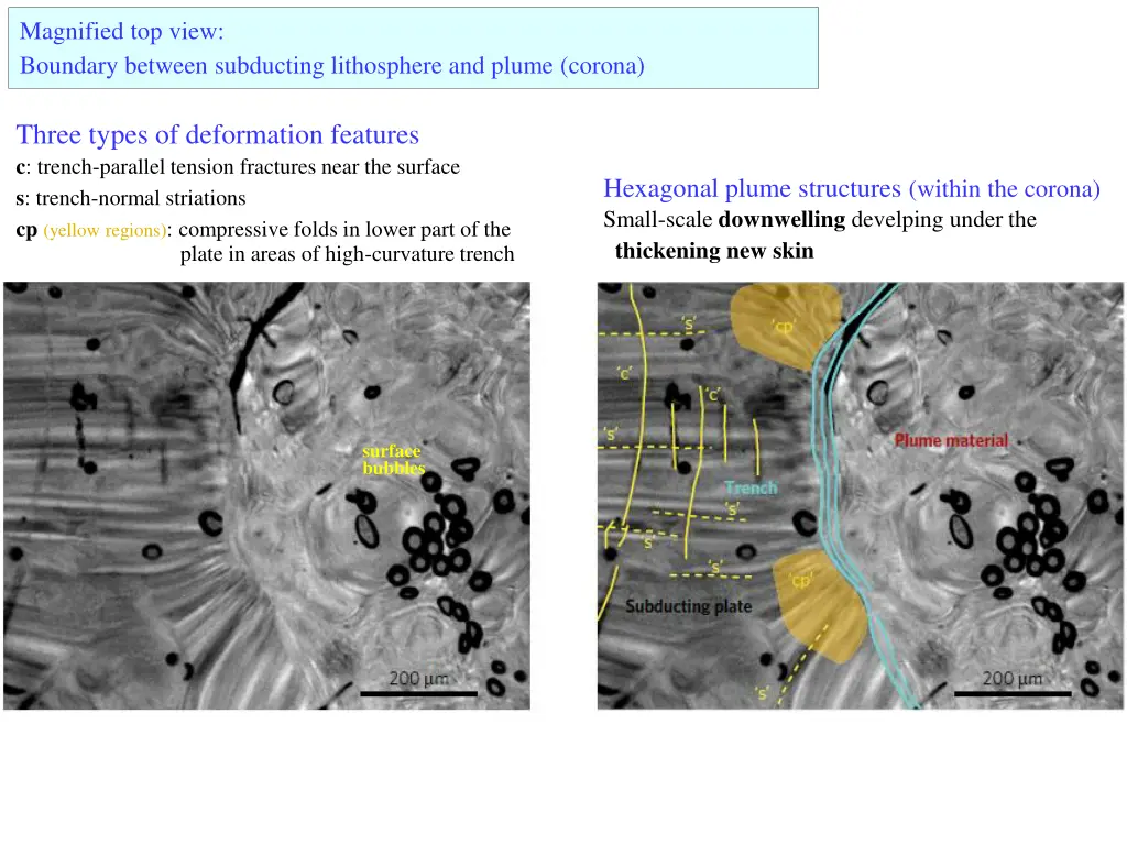 magnified top view boundary between subducting