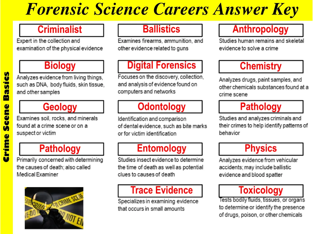 forensic science careers answer key criminalist