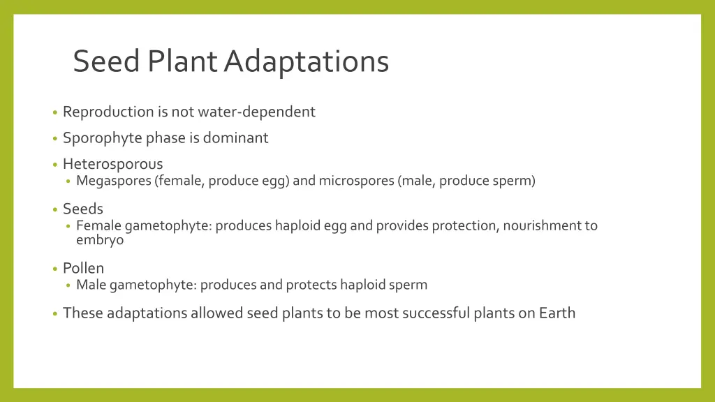 seed plant adaptations