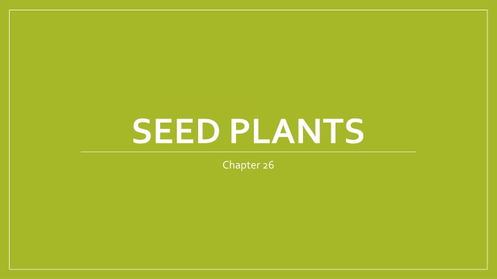 seed plants