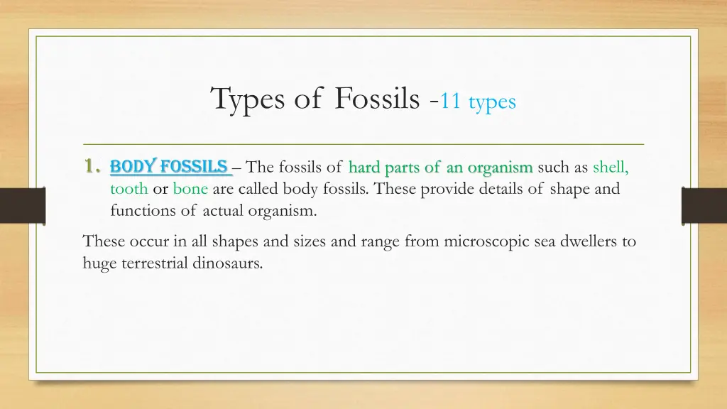 types of fossils 11 types