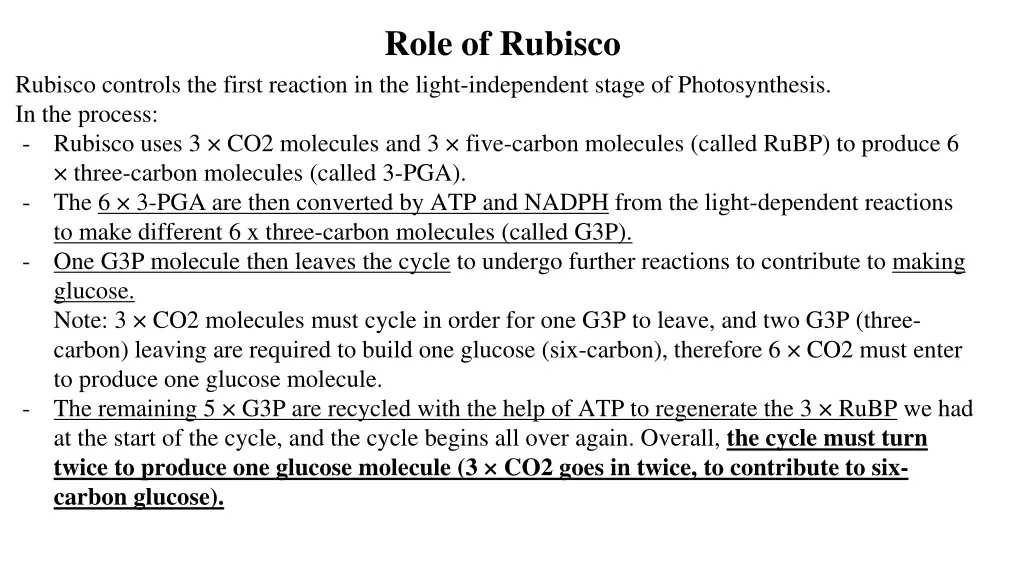 role of rubisco