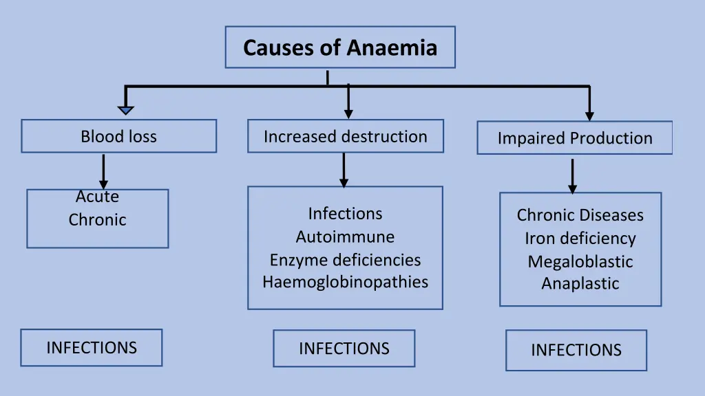 causes of anaemia