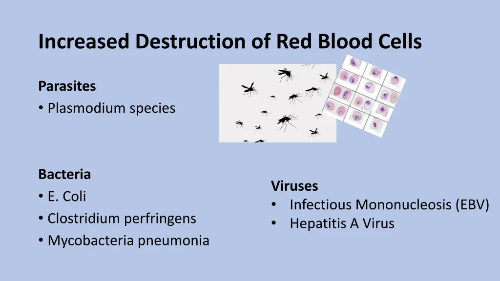 increased destruction of red blood cells