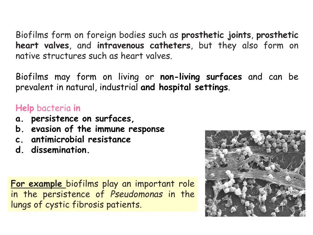 biofilms form on foreign bodies such