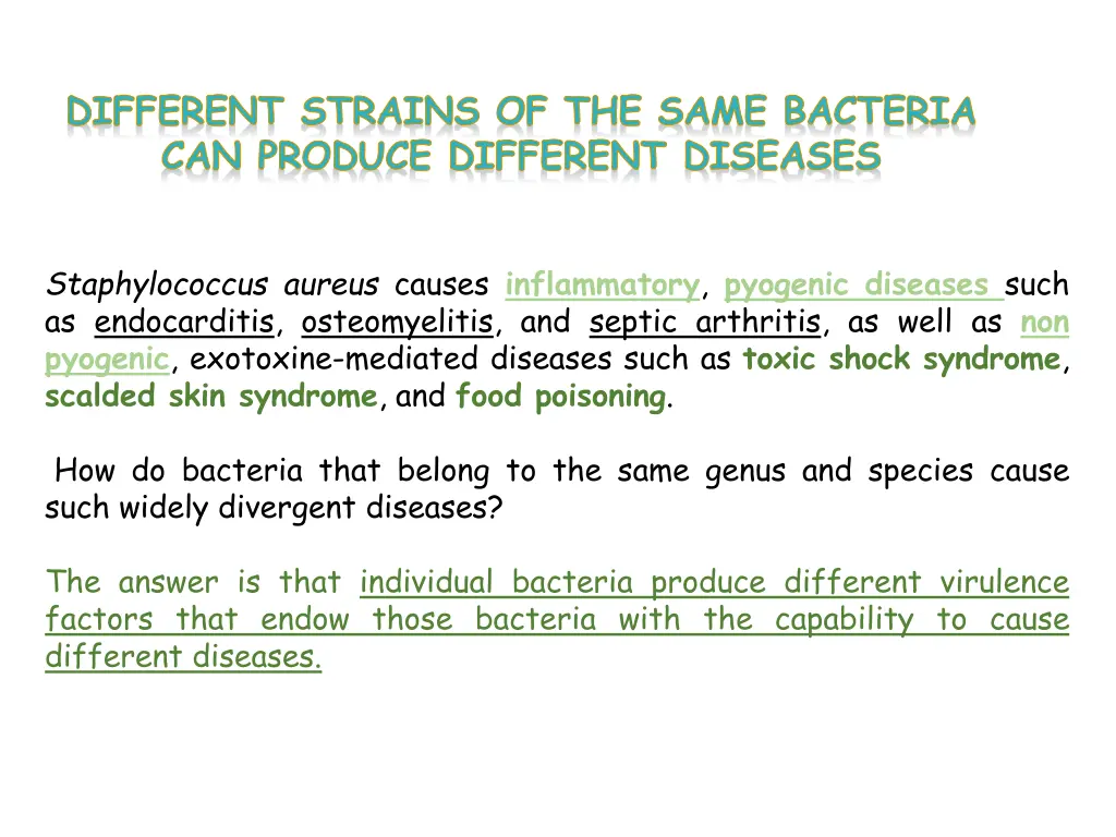 different strains of the same bacteria