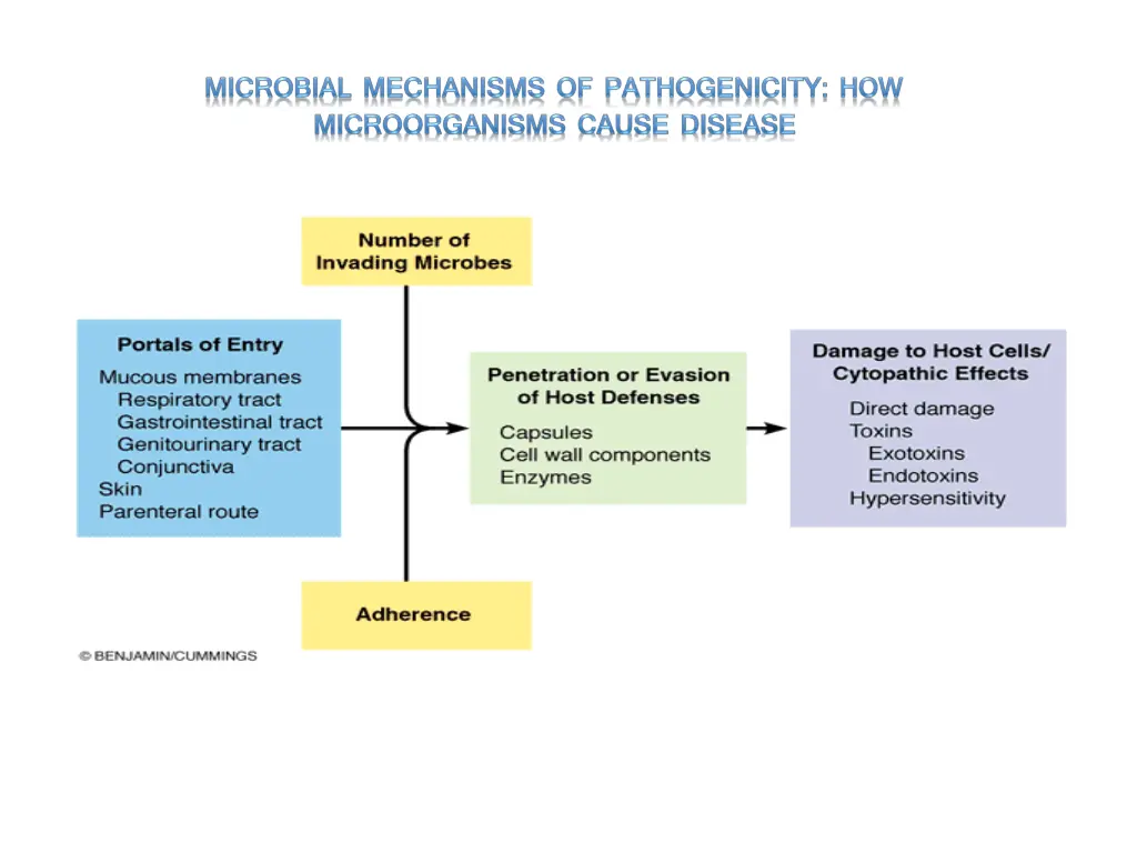 slide14