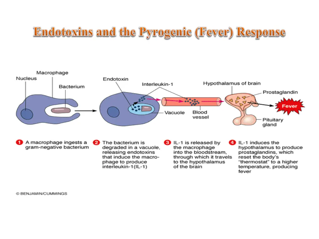 slide24