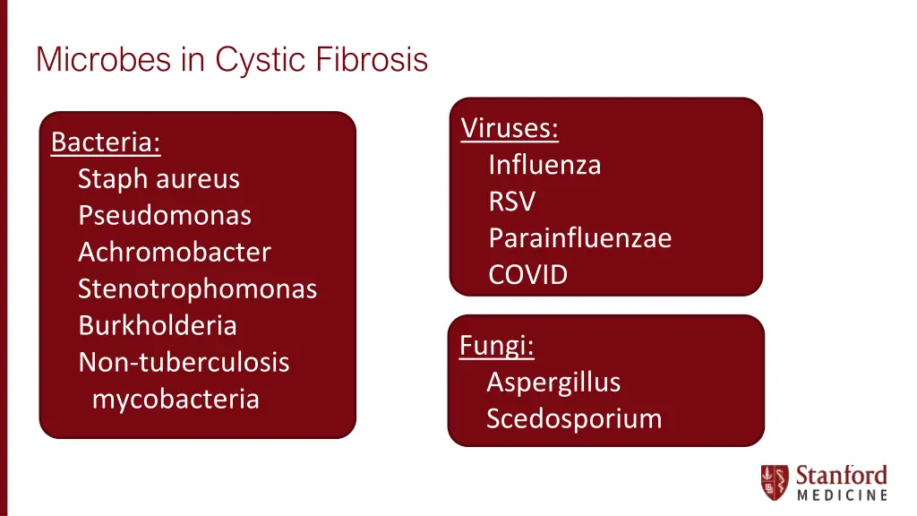 microbes in cystic fibrosis