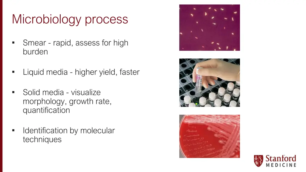 microbiology process