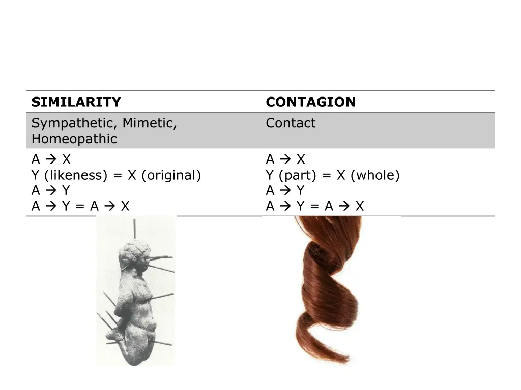 similarity sympathetic mimetic homeopathic 1