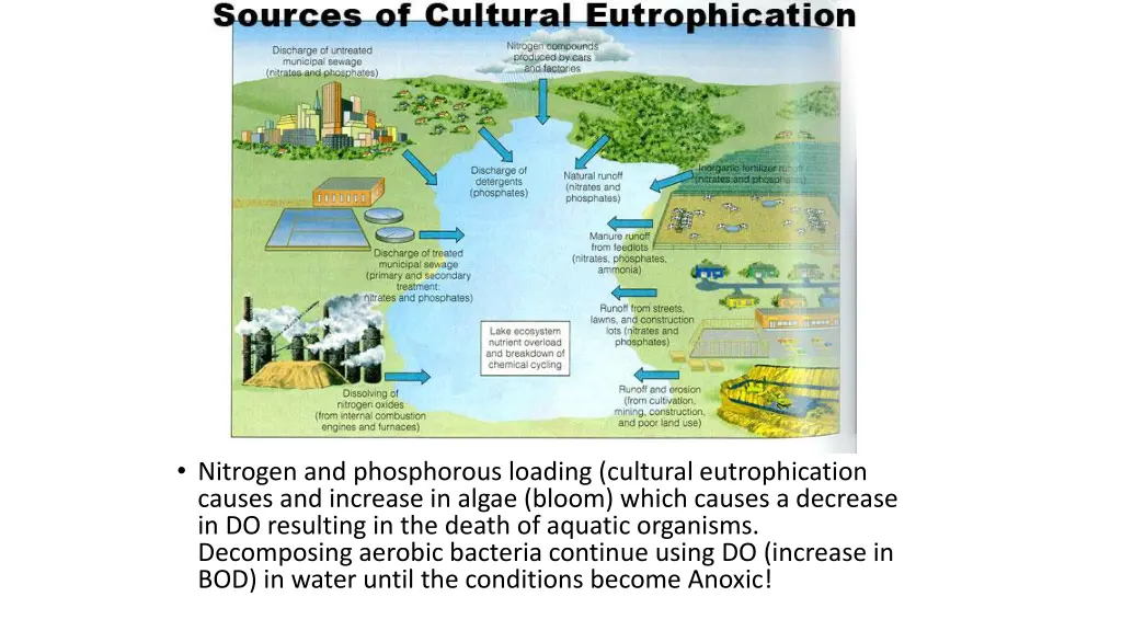 nitrogen and phosphorous loading cultural