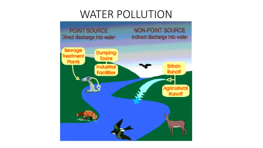 water pollution