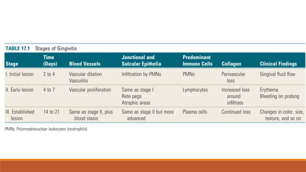 slide23