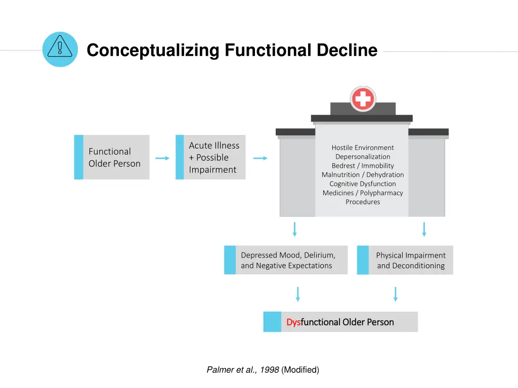 conceptualizing functional decline