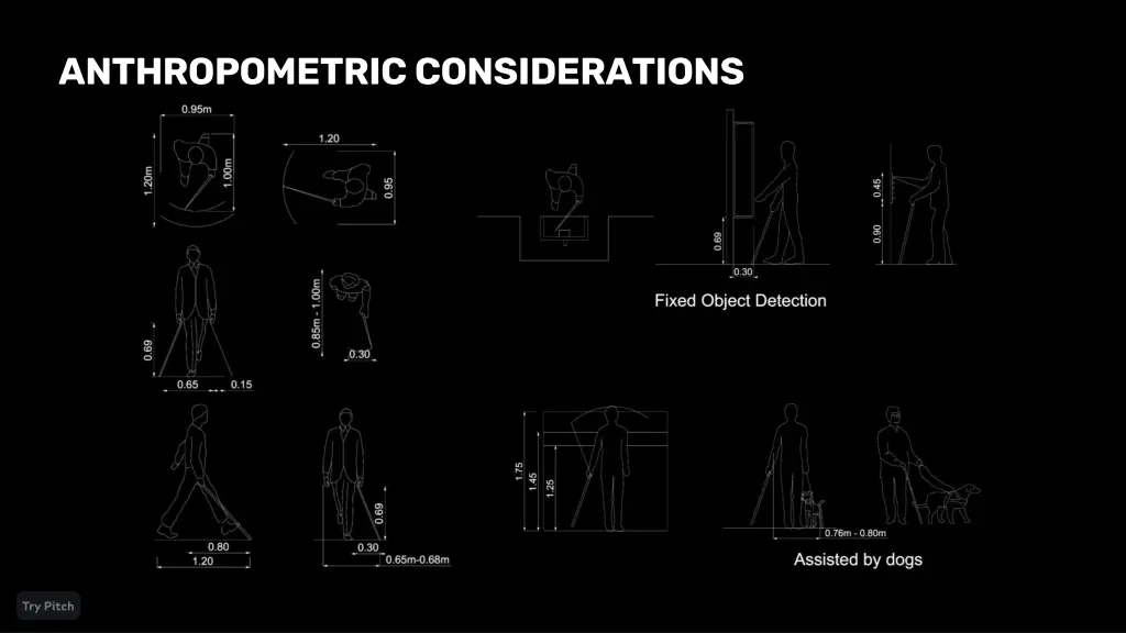 anthropometric considerations