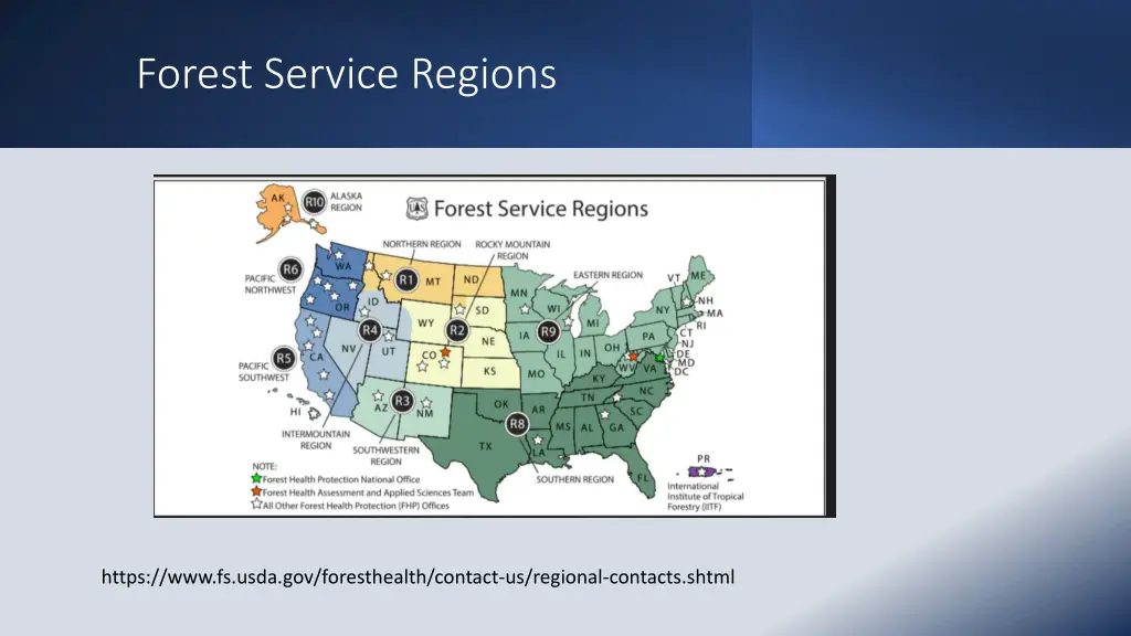 forest service regions