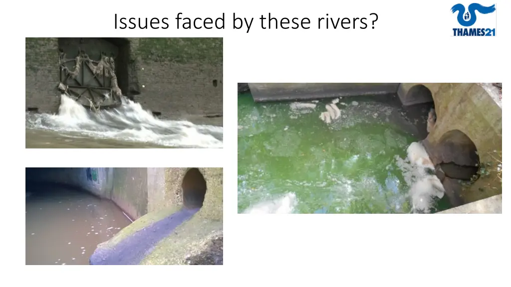 issues faced by these rivers