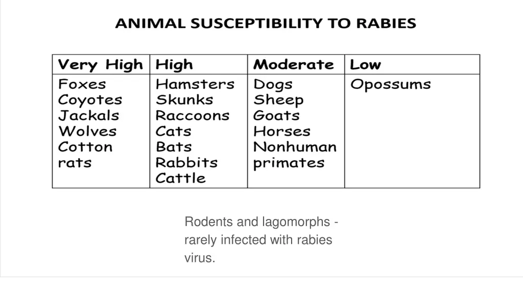 animal susceptibility to rabies