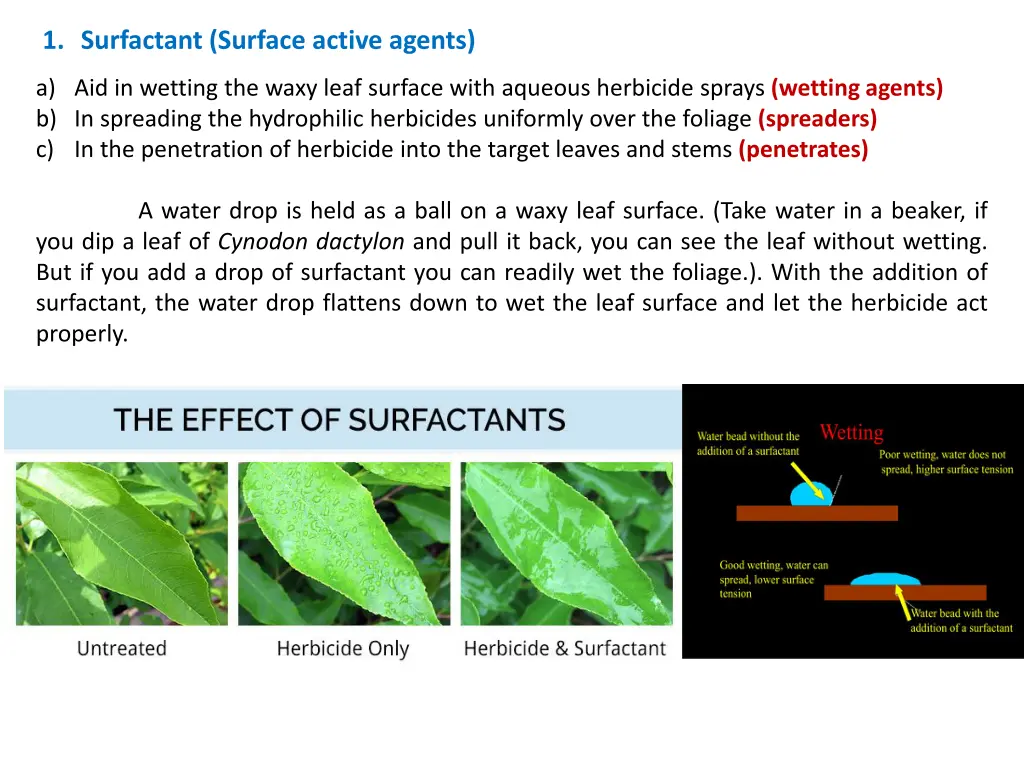 1 surfactant surface active agents