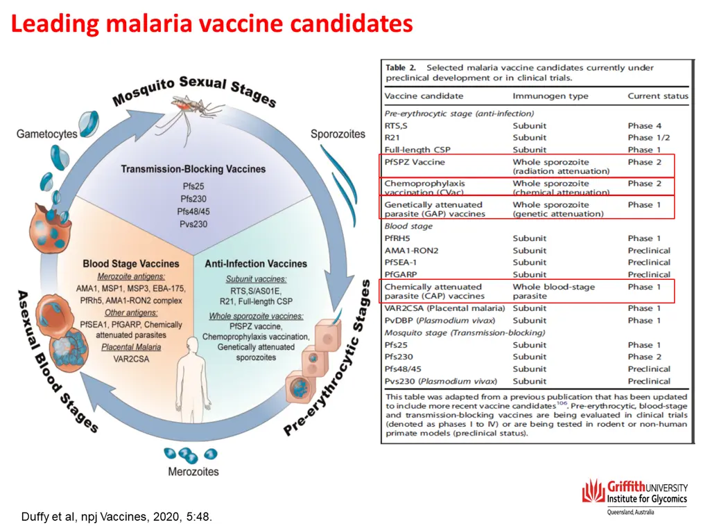 leading malaria vaccine candidates