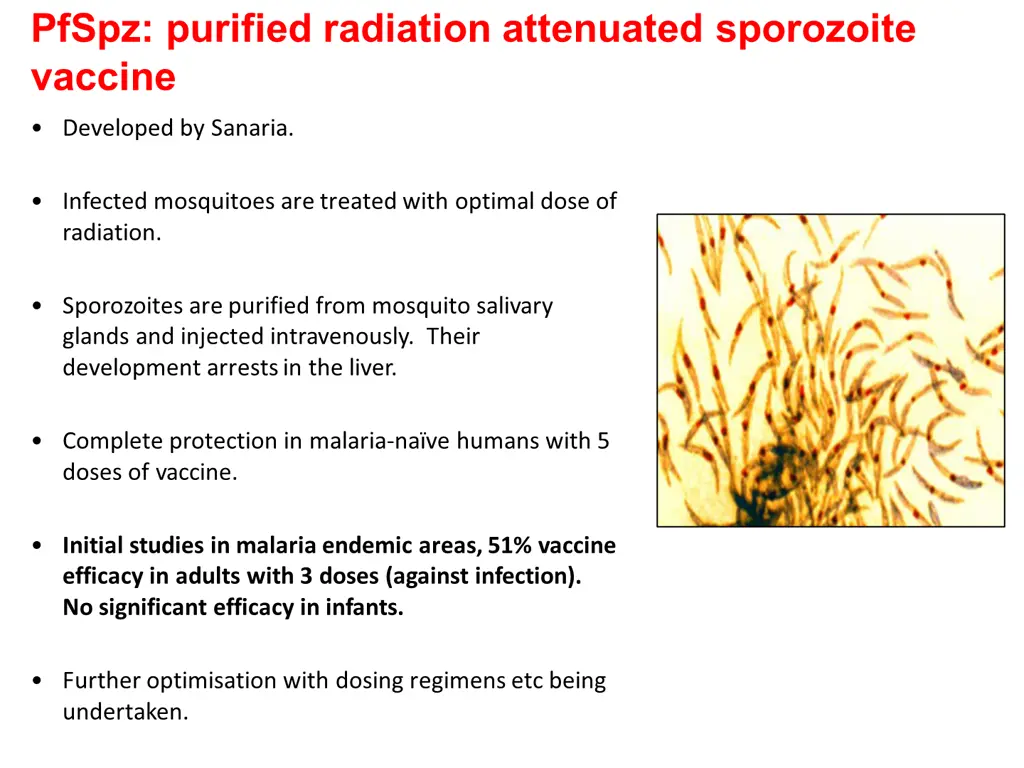 pfspz purified radiation attenuated sporozoite