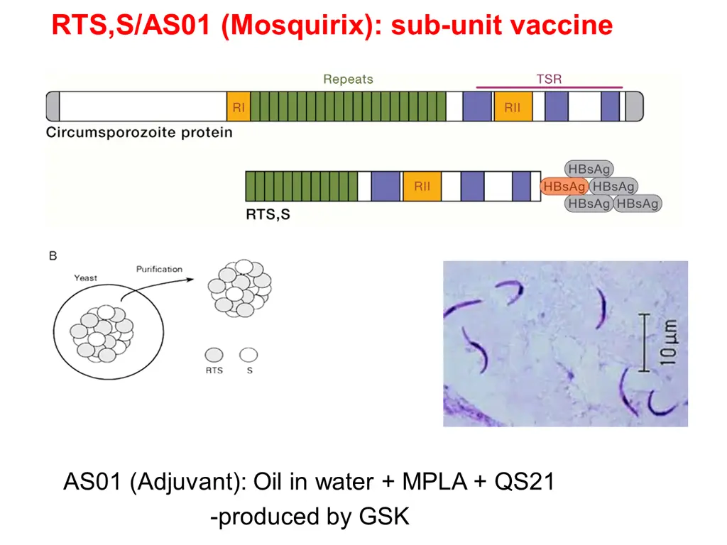 rts s as01 mosquirix sub unit vaccine