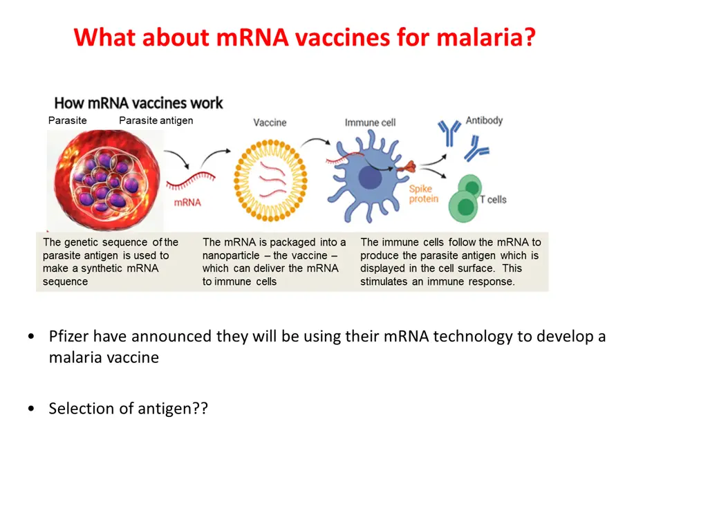 what about mrna vaccines for malaria