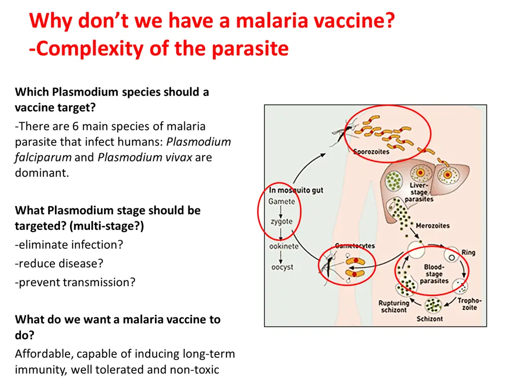 why don t we have a malaria vaccine complexity