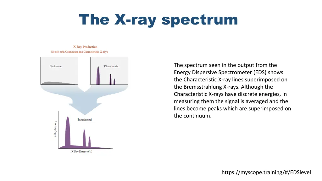 the x ray spectrum