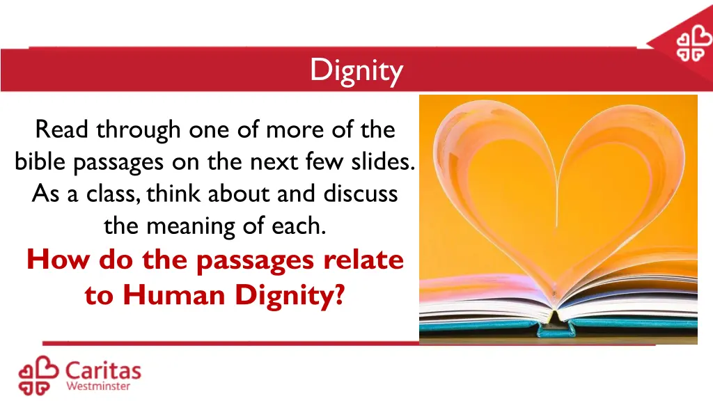 dignity 6