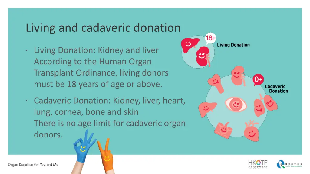 living and cadaveric donation