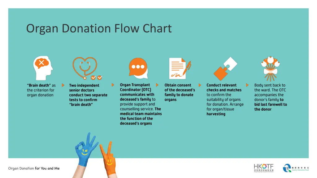 organ donation flow chart