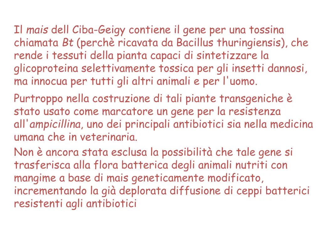 il mais dell ciba geigy contiene il gene