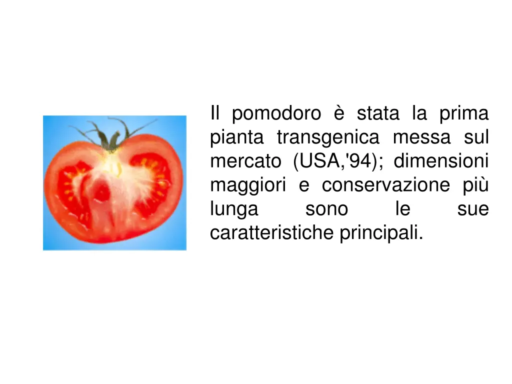 il pomodoro stata la prima pianta transgenica