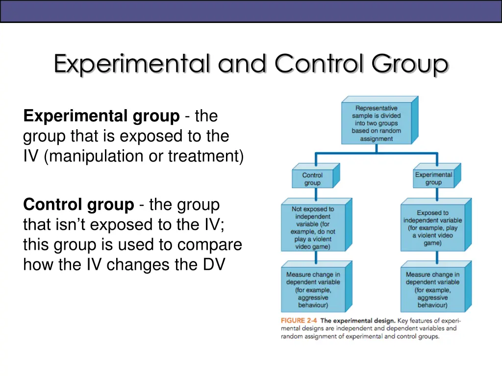 experimental and control group