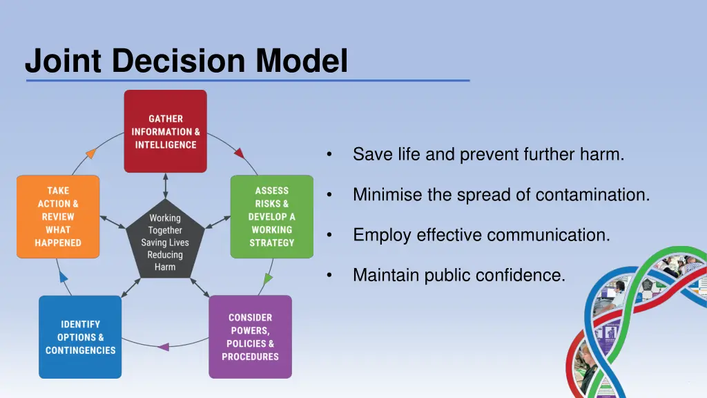 joint decision model