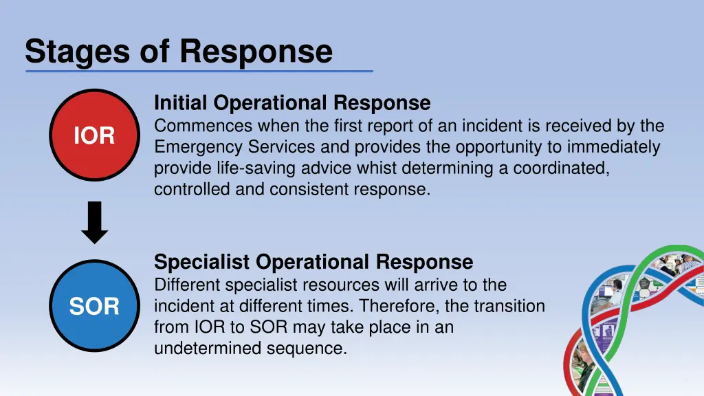 stages of response