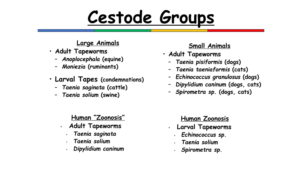 cestode groups