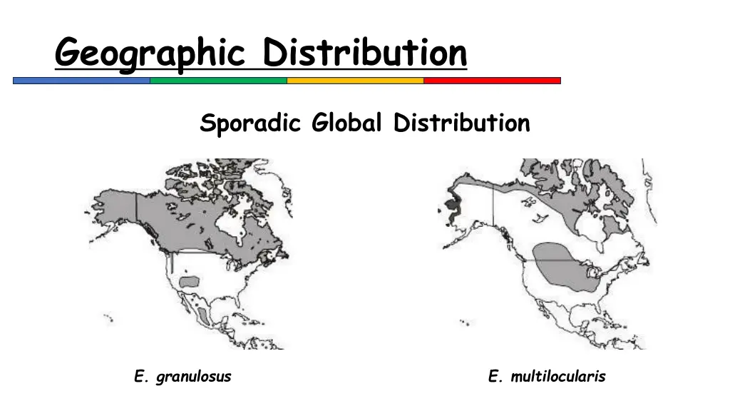 geographic distribution